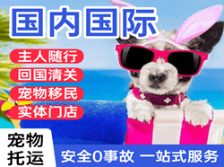 沙堤机场快运国际宠物托运 【国